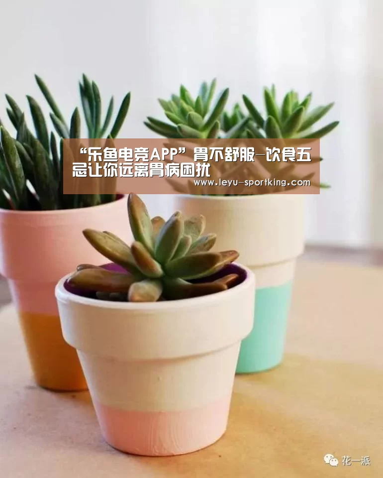 乐鱼电竞APP